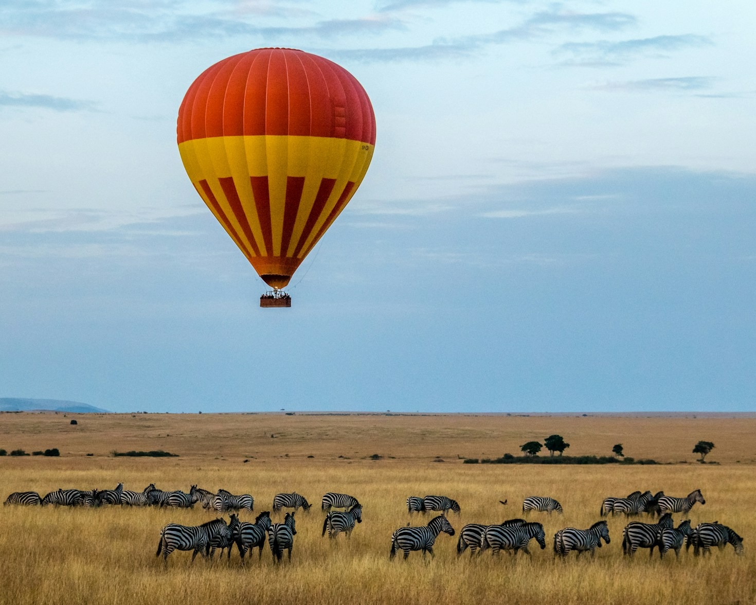 Discovering the Vibrant Cities of Kenya