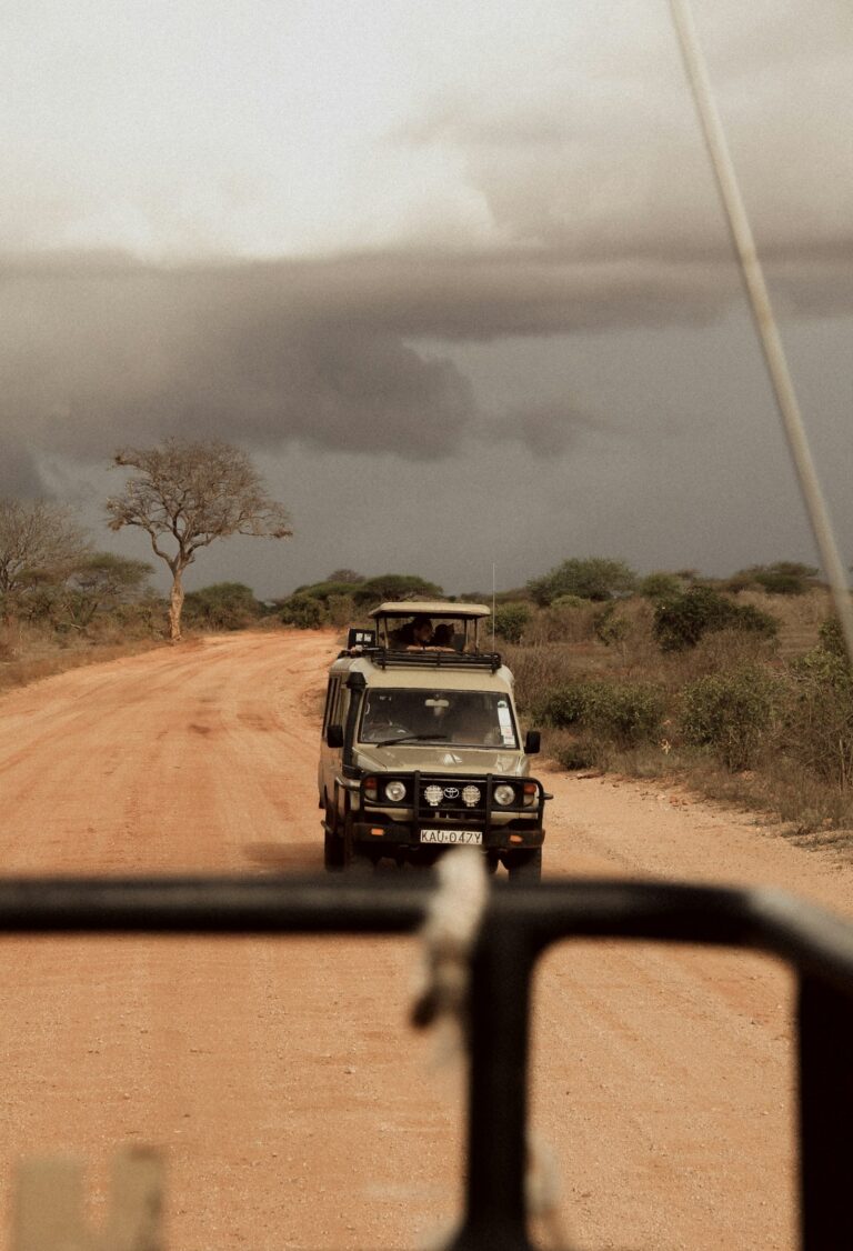 Kenya’s Coastal Paradises: A Traveler’s Guide